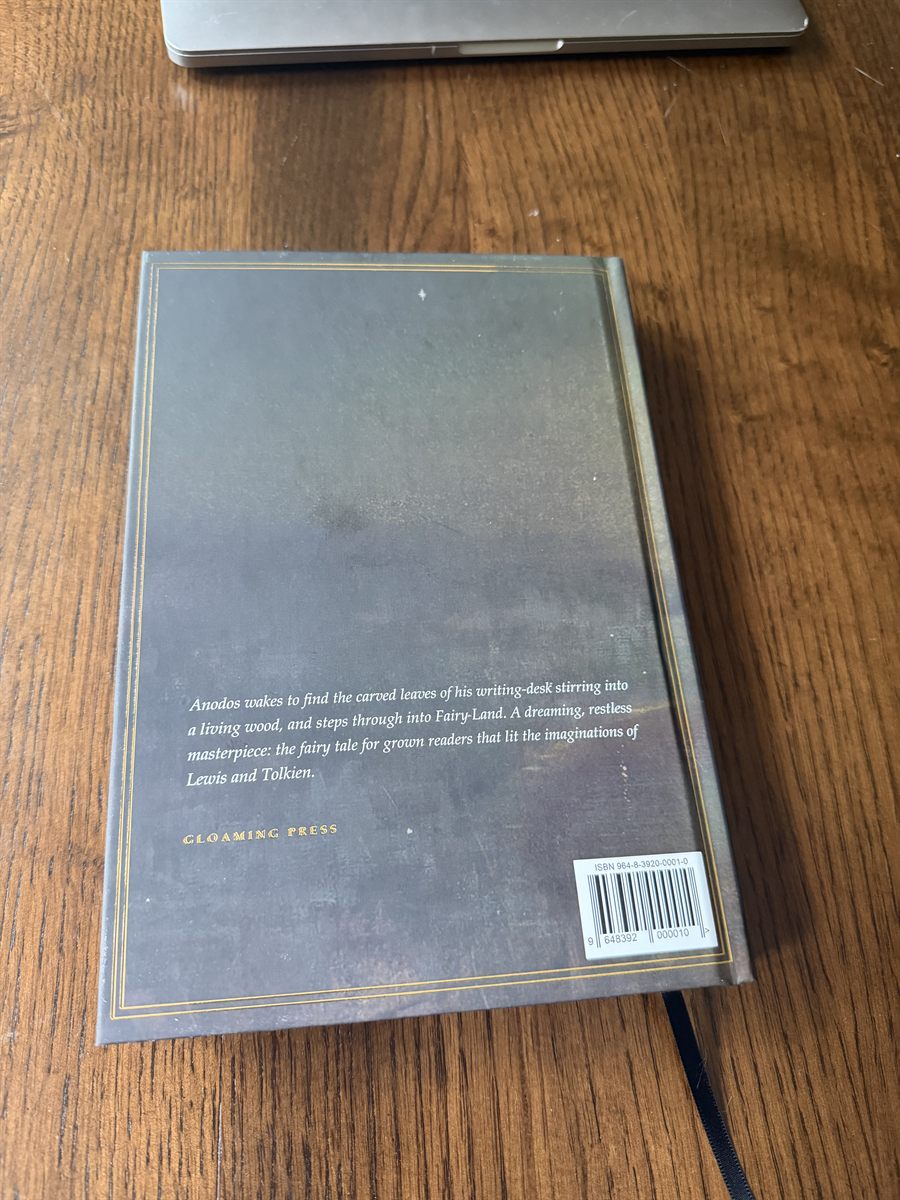 Back cover with the blurb and a ribbon marker trailing out